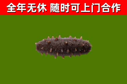 振安区烟酒回收干海参.jpg
